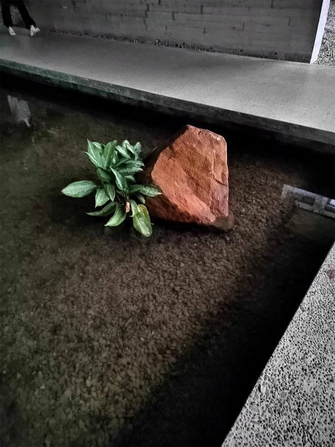 遊泳之選——遊泳裝備與用品推薦(jiàn)(圖2)